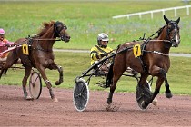 D6 Mauquenchy 21-08-02 295   Photo ACG