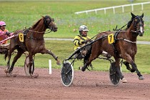 D6 Mauquenchy 21-08-02 296   Photo ACG