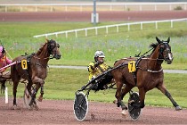 D6 Mauquenchy 21-08-02 299   Photo ACG