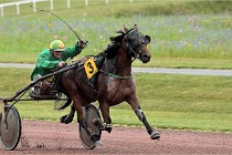 D6 Mauquenchy 21-08-02 302   Photo ACG