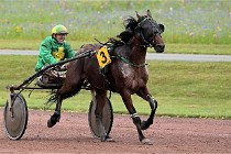 D6 Mauquenchy 21-08-02 306  01  Photo ACG