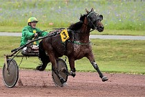 D6 Mauquenchy 21-08-02 308   Photo ACG