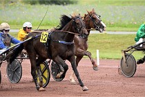 D6 Mauquenchy 21-08-02 311   Photo ACG