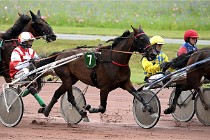 D6 Mauquenchy 21-08-02 370   Photo ACG