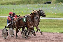 D6 Mauquenchy 21-08-02 429   Photo ACG