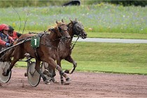 D6 Mauquenchy 21-08-02 430   Photo ACG