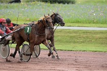 D6 Mauquenchy 21-08-02 433   Photo ACG