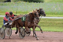 D6 Mauquenchy 21-08-02 434   Photo ACG