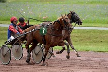 D6 Mauquenchy 21-08-02 439   Photo ACG