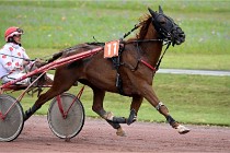 D6 Mauquenchy 21-08-02 493   Photo ACG