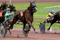 D6 Mauquenchy 21-08-02 510   Photo ACG