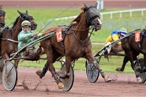 D6 Mauquenchy 21-08-02 513   Photo ACG