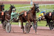 D6 Mauquenchy 21-08-02 514   Photo ACG