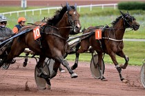 D6 Mauquenchy 21-08-02 516   Photo ACG