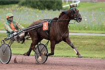 D6 Mauquenchy 21-08-02 522   Photo ACG