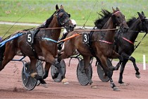 D6 Mauquenchy 21-08-02 551   Photo ACG