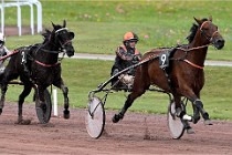 D6 Mauquenchy 21-08-02 571   Photo ACG