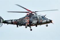 D500 Albert 21-08-20 1399   Photos ACG 2021