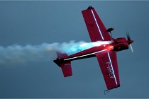 D500 Albert 21-08-20 1788  NI  Photos ACG 2021