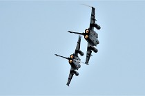 D500 Albert 21-08-22 3374   Photos ACG 2021