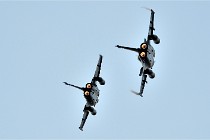 D500 Albert 21-08-22 3376   Photos ACG 2021