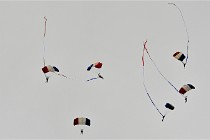 D6 Albert 21-08-22 0395   Photo ACG