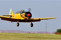 D850 Niergnies 21-09-04 0960   Photos ACG 2021