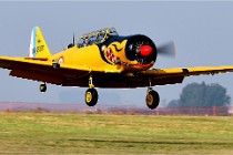 D850 Niergnies 21-09-04 0966   Photos ACG 2021