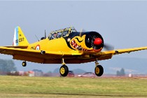 D850 Niergnies 21-09-04 0967   Photos ACG 2021