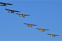 D850 Niergnies 21-09-04 1005   Photos ACG 2021