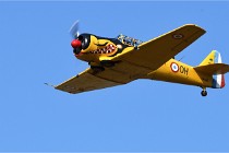 D850 Niergnies 21-09-05 2567   Photos ACG 2021