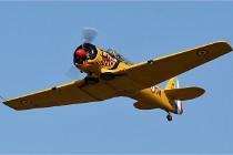 D850 Niergnies 21-09-05 2599   Photos ACG 2021