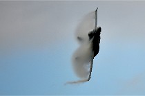 D850 Luxeuil 21-09-17 03064   Photos ACG 2021