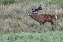 2021-10-05 09 Boutissaint