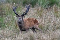 D6 Boutissaint 21-10-05 0513   Photo ACG