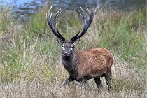 D6 Boutissaint 21-10-05 0559   Photo ACG