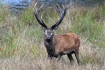 D6 Boutissaint 21-10-05 0561   Photo ACG