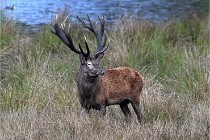 D6 Boutissaint 21-10-05 0563   Photo ACG