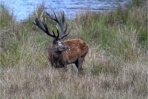 D6 Boutissaint 21-10-05 0575   Photo ACG