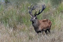 D6 Boutissaint 21-10-05 0635   Photo ACG