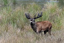 D6 Boutissaint 21-10-05 0644   Photo ACG