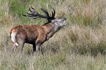 D6 Boutissaint 21-10-05 0751   Photo ACG