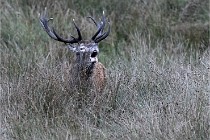 D6 Boutissaint 21-10-05 0796   Photo ACG