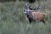 D6 Boutissaint 21-10-05 0863   Photo ACG