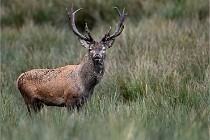 D6 Boutissaint 21-10-05 0899   Photo ACG