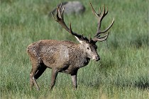 D6 Boutissaint 21-10-05 1162   Photo ACG