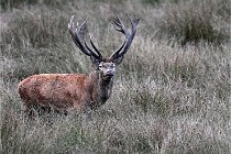 D6 Boutissaint 21-10-05 1266   Photo ACG