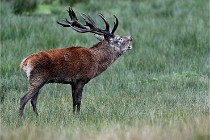 D6 Boutissaint 21-10-05 1291   Photo ACG