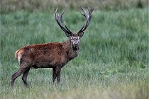 D6 Boutissaint 21-10-05 1299   Photo ACG