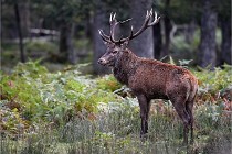 D6 Boutissaint 21-10-06 1333   Photo ACG